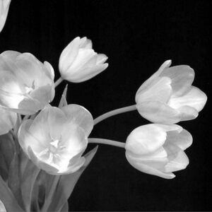 Have A Wonderful Day!